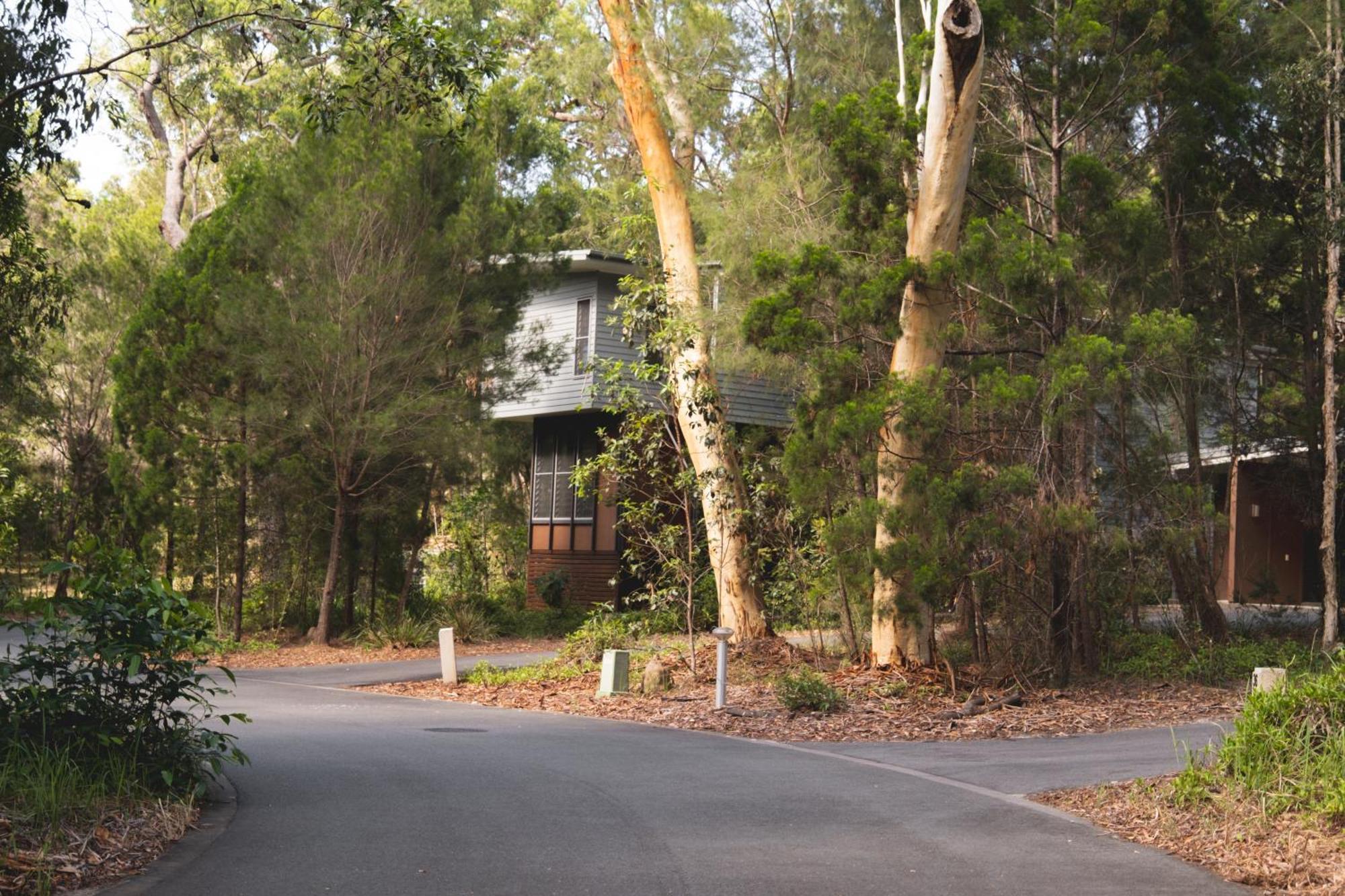 Beach Road Holiday Homes Noosa North Shore Exterior foto